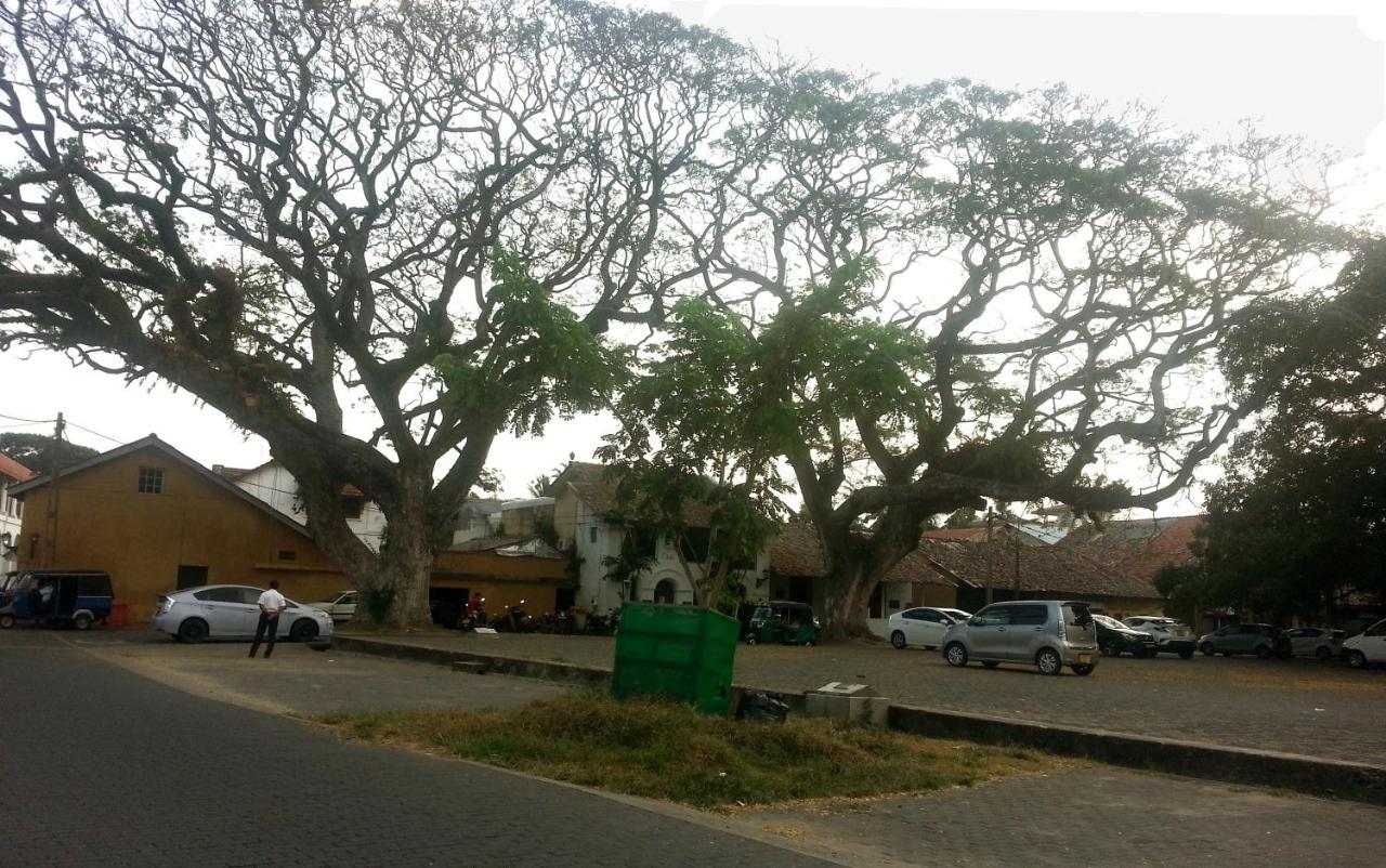 维多拉别墅家庭住宿 Bataduwa 外观 照片